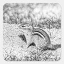 Recherche de chipmunk autocollants Nature