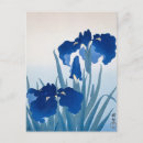 Recherche de iris bleu cartes postales Ohara koson