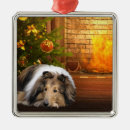 Recherche de colley ornements Canin