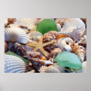 Recherche de coquillages posters Étoile