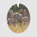 Recherche de de cercle ornements Famille