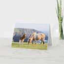 Recherche de poney shetland vœux cartes Ferme
