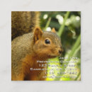 Recherche de faune et flore cartes visite Toute personne