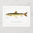 Recherche de givre cartes postales Aquarelle