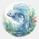 Recherche de bêtas poissons Pour tous