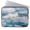 Recherche de iceberg coques Arctique