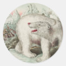 Recherche de ours blanc autocollants Animal