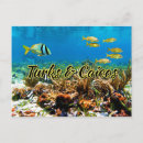 Recherche de turcs cartes postales Vacances