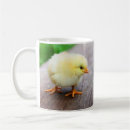 Recherche de poussin mignon tasses Animal