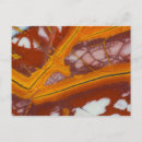 Recherche de jaspe cartes postales Macro
