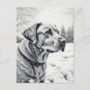 Recherche de labrador retriever noir cartes postales Chien
