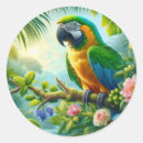 Recherche de macaw autocollants Nature