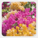 Recherche de caïman autocollants Caraïbe