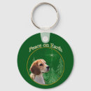 Recherche de beagles porteclés Chien beagle