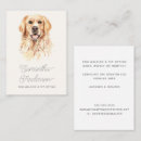Recherche de chien marche cartes visite Petits animaux