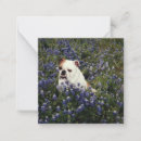 Recherche de anglais correspondances cartes Bulldog