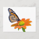 Recherche de butterfly cartes postales Coloré