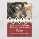 Recherche de abri animal invitations Chiot