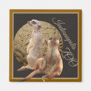 Recherche de animal africain magnets Savane