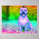 Recherche de pit bull terrier posters Staffordshire