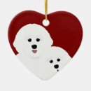 Recherche de frise de bichon ornements Vacances