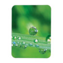 Recherche de meditation magnets Paisible