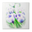 Recherche de crocus carreaux Fleurs