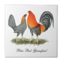 Recherche de oiseau rouge carreaux Coq