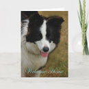 Recherche de colley vœux cartes Chiot