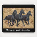 Recherche de cheval sauvage tapis souris Poulain
