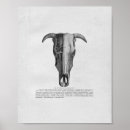Recherche de crâne taureau posters Vache