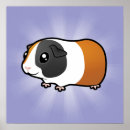 Recherche de cavy posters Animal familier