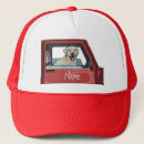Recherche de canon casquettes Chien