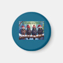 Recherche de rapaces magnets Faucon