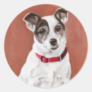 Recherche de jack russell autocollants Jrt