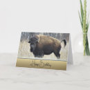 Recherche de bison anniversaire cartes Animal