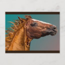 Recherche de tête de chevaux cartes postales Équin