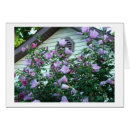 Recherche de rose de sharon Nature