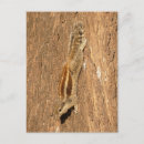 Recherche de arbre vie cartes postales Animal
