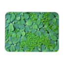 Recherche de plante magnets Exotique