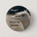 Recherche de autruches badges Nature