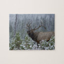 Recherche de mâle puzzles Neige