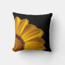 Recherche de arrière plan jaune coussins Couleurs vives
