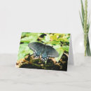 Recherche de ailes papillon vœux cartes Vert