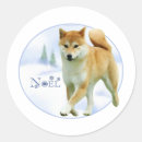 Recherche de shiba autocollants Inu