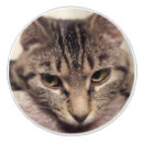 Recherche de yeux boutons et poignées de porte Gris