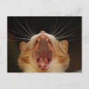 Recherche de bâillon cartes postales Yawn