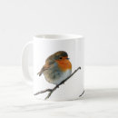 Recherche de merle tasses Oiseau
