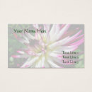 Recherche de dahlia rose cartes visite Photographie
