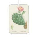 Recherche de cactus voiture accessoires Floral